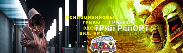 хмурый Алзамай