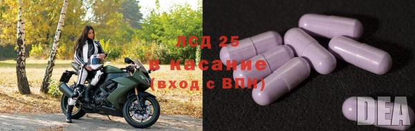 винт Алексин
