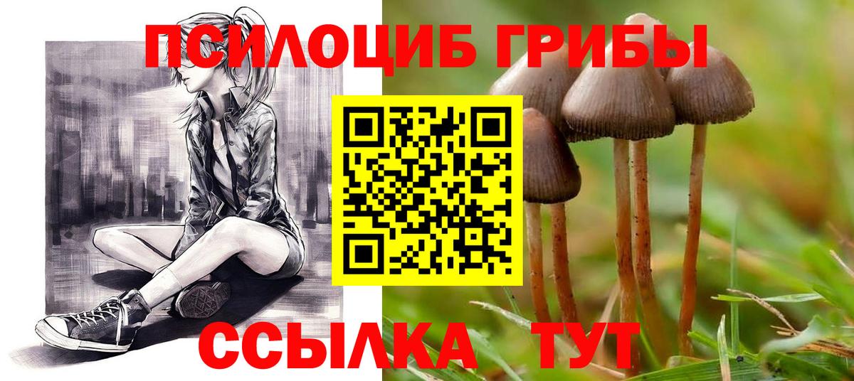 Галлюциногенные грибы Magic Shrooms Находка