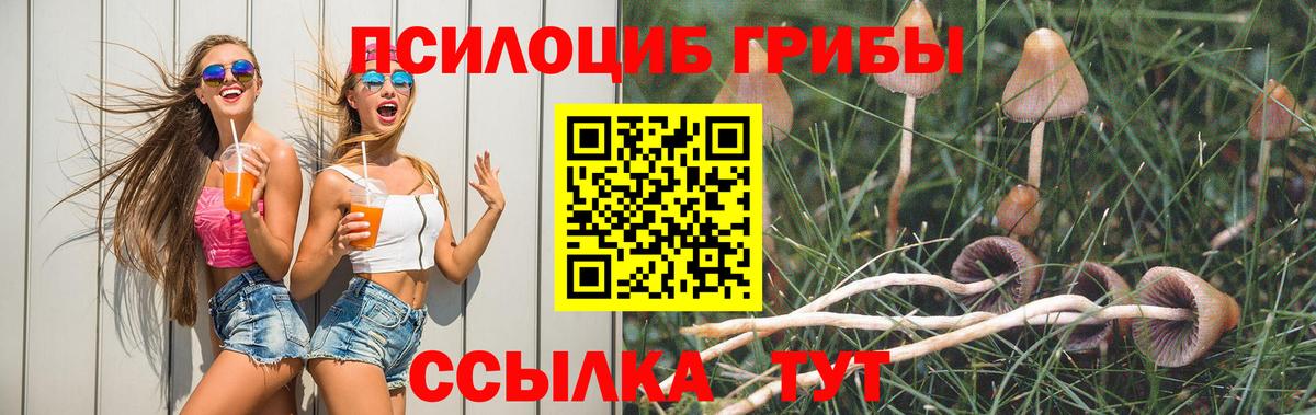 Находка  Галлюциногенные грибы мухоморы  Вход с VPN  Галлюциногенные грибы Psilocybine cubensis 